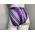 HIGH WAIST FULL BOTTOMS SIZE SMALL